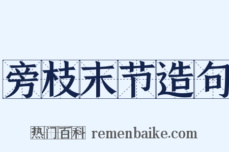 旁枝末节造句是什么意思的图片